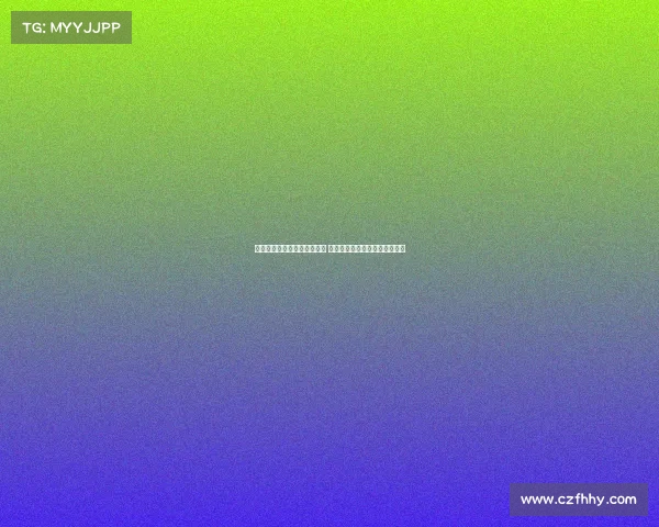 布雷默：尤文上赛季缺乏领袖 新赛季图多尔将助我们重塑核心